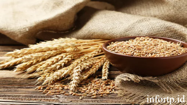 9 Manfaat Gandum untuk Kesehatan Tubuh